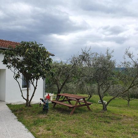 Apartma Zdenko Izola Extérieur photo